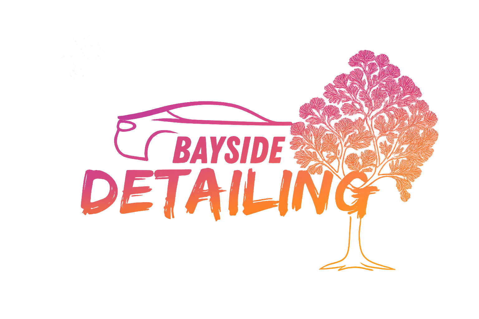 Bayside Detailing Logo